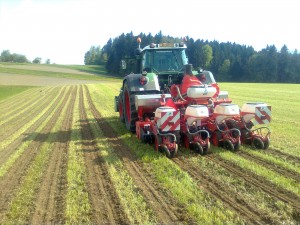 Strip-till maïs